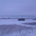 IMAG0207